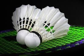 PSL : tournoi de badminton