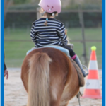 Journée nationale du cheval