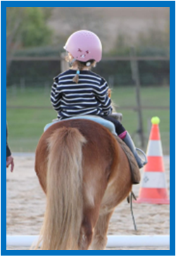 Journée nationale du cheval